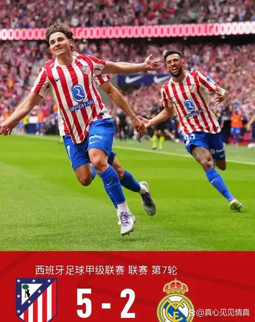 雨燕360体育免费直播